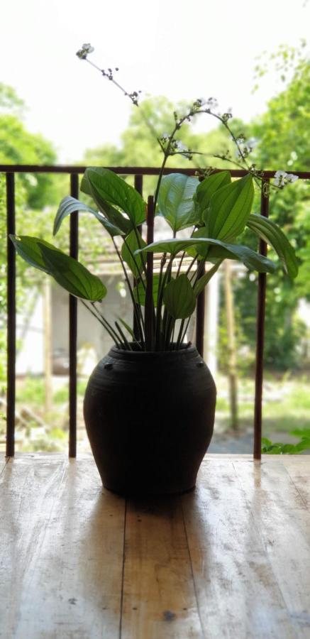 Tuyet'S Homestay Ninh Bình Kültér fotó