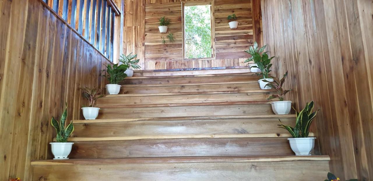 Tuyet'S Homestay Ninh Bình Kültér fotó
