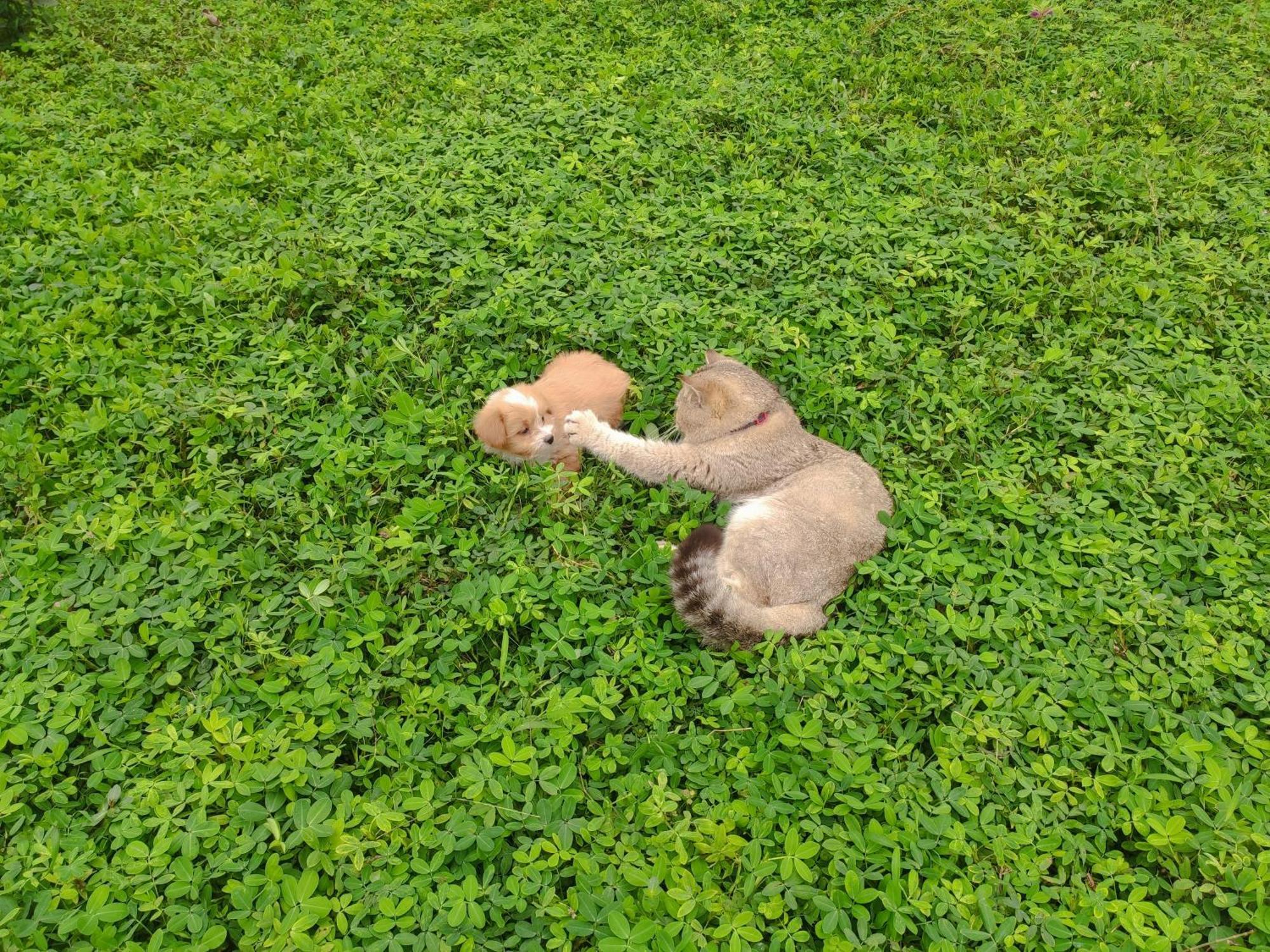 Tuyet'S Homestay Ninh Bình Kültér fotó
