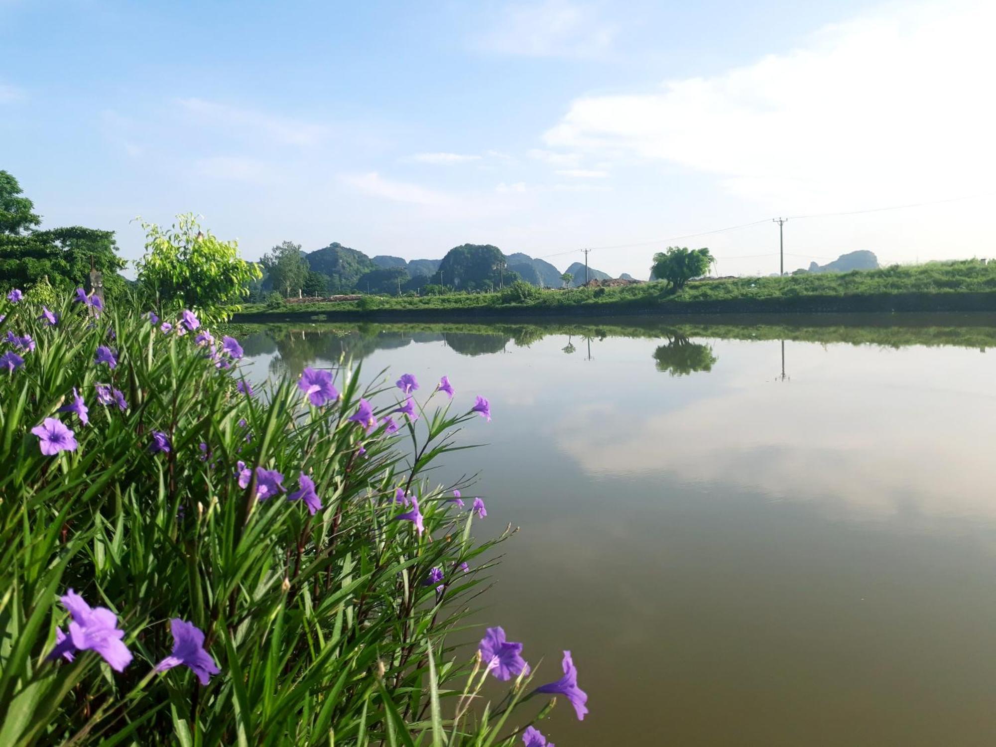 Tuyet'S Homestay Ninh Bình Szoba fotó