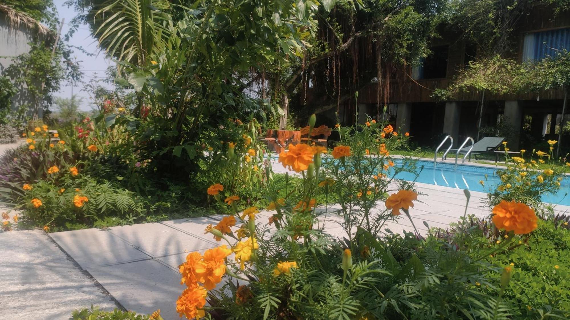 Tuyet'S Homestay Ninh Bình Kültér fotó
